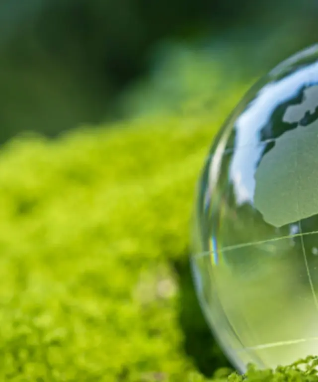 Glaskugel mit Weltkarte auf grünem Moos. Symbol für Nachhaltigkeit, Umweltbewusstsein und globale Naturverantwortung.
